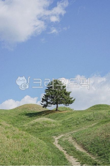 Field,a tree,green,natural scenery,Alone tree,tomb,Bulodong Ancient Tombs