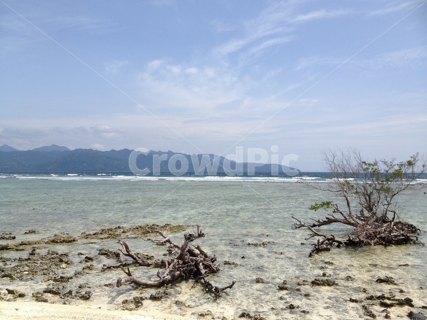 길리,바다,나무,하늘,gili,sea,tree,sky,seaandtrees
