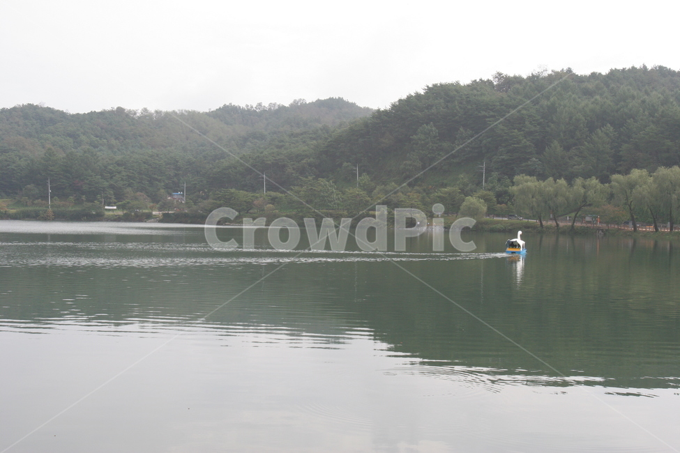 호수,오리배,공원,water,물,nature,자연,outdoors,옥외,자연,풍경,nature,landscape