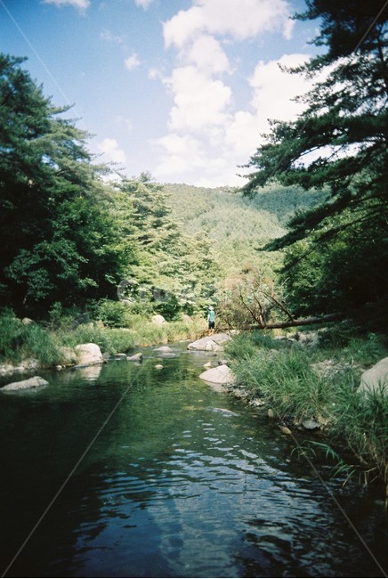 계곡,풍경,하늘,낚시,필름카메라,낚시꾼,강,물,산림,여름,healing,힐링,산,비네팅,landscape,혼자,한명,사람한명,구름,한국,강원도,강릉,단경골,여름,계절,summer,season,자연,풍경,nature,landscape,한국자연풍경,한국자연경관,korea nature landscape,water,outdoors,옥외,tree,나무,plant,식물
