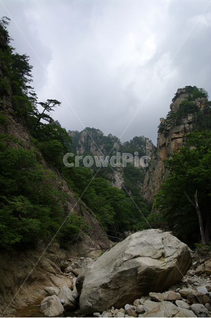 산,계곡,바위,암석,풍경,나무,설악산,자연,풍경,nature,landscape,outdoors,옥외,cliff,낭떠러지,mountain