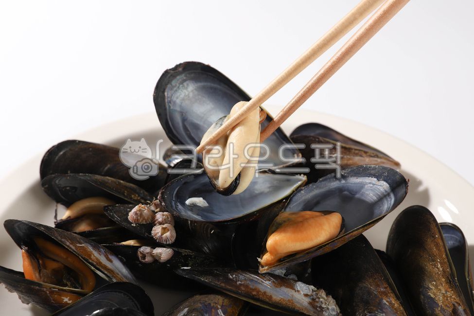 홍합,수산물,바다생물,먹거리,조개,음식,식재료,요리,food,cook,meal,dishes,food reserves,수산물,해산물,fishery products,seafood