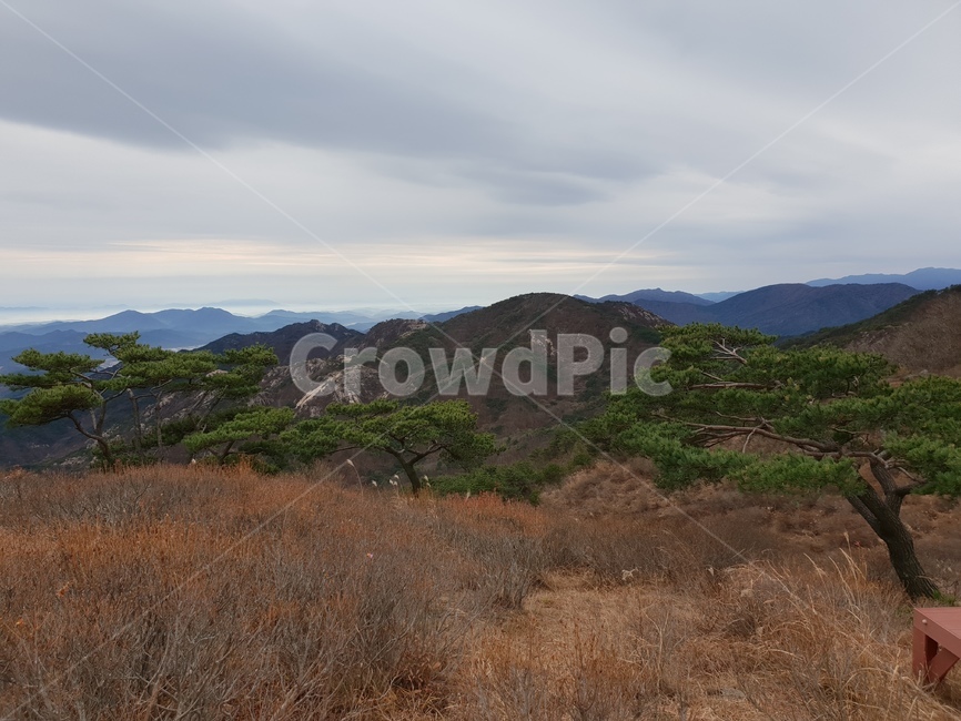 산,황매산,억새,구름,풍경,nature,자연,outdoors,옥외,hill,언덕