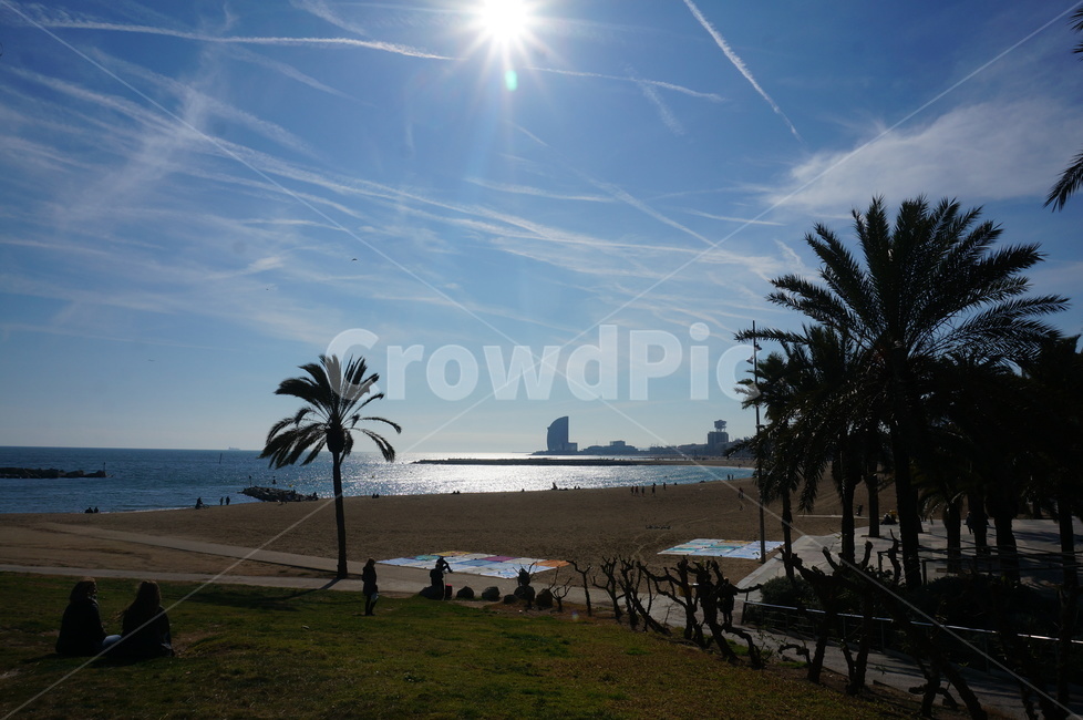 spain,Beach,Barceloneta,beach,Spain