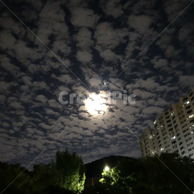 light,빛,건물,구름,cloud,태양