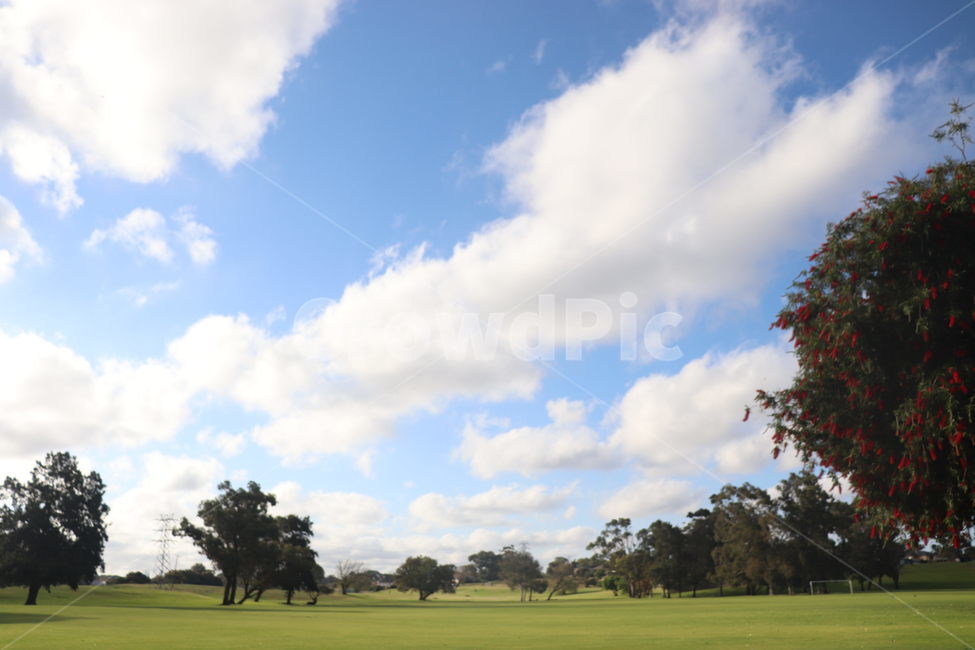 grass,잔디,plant,식물,field,들,outdoors,옥외,나무,공원,구름,하늘,자연,풍경,nature,landscape,golf course,골프 코스