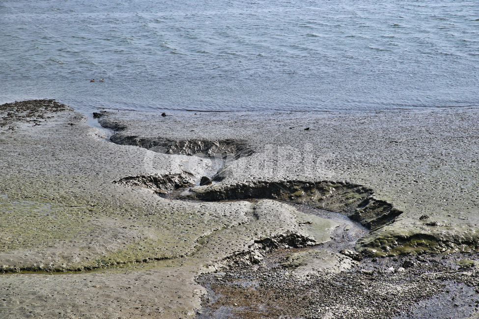 시화호,화성시,바다,간척지,시화방조제,갯벌,갯골,썰물,자연,풍경,nature,landscape