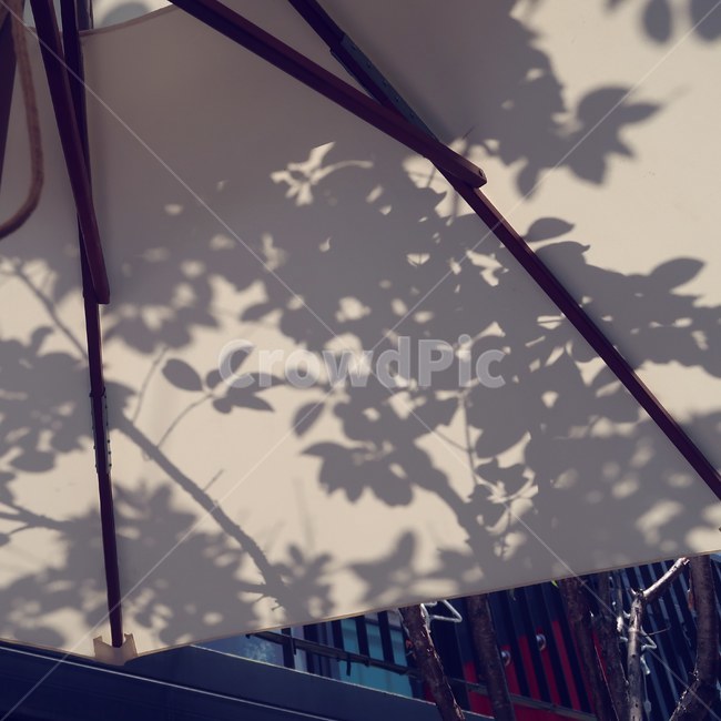 shadow,parasol,light,summer,afternoon,leaf,leaves,그림자,파라솔,빛,여름,오후,낮,잎,이파리