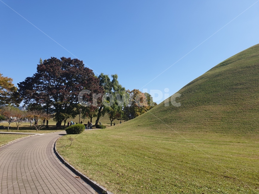 field,들,grassland,목초지,outdoors,옥외,경주대릉원,대릉원,한국경주,무덤,대릉
