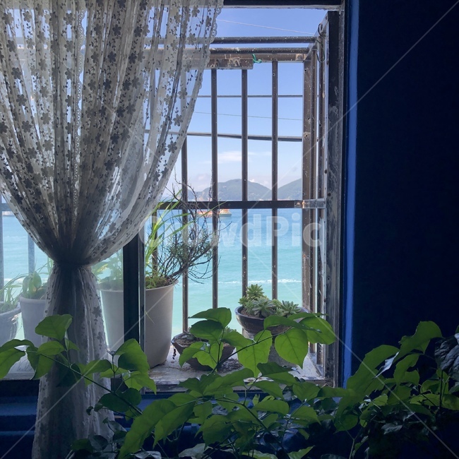 커튼,바다풍경,창밖,자연,영도,해안가,화분