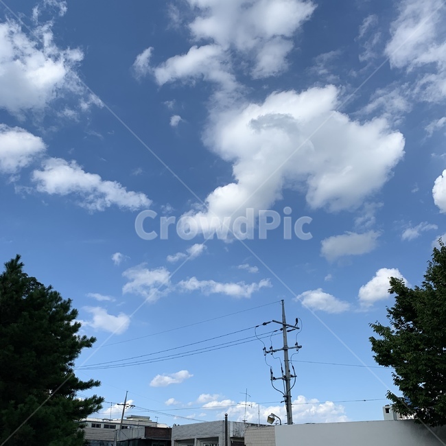nature,자연,outdoors,옥외,weather,날씨,하늘,전봇대,구름,나무,자연,풍경,nature,landscape