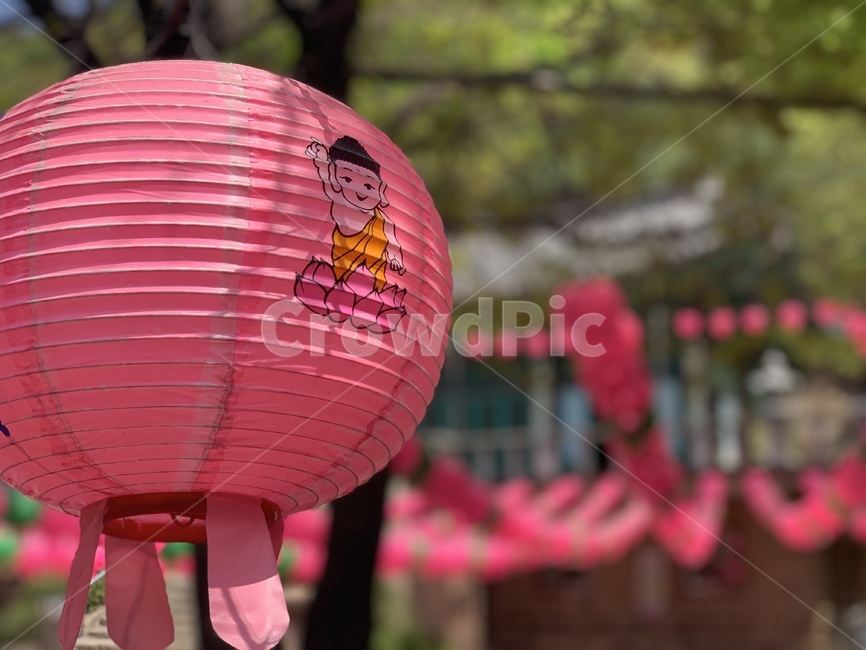 연등,부처님,절,연등행사,부처님오신날