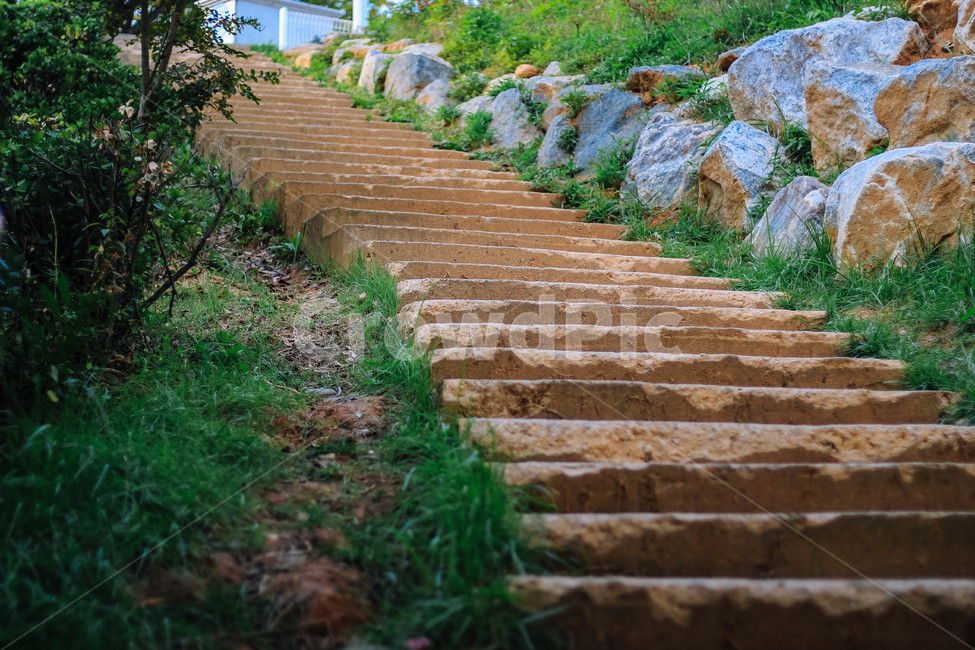 계단,시골,계단오르기,가을,자연,자연과조화,자연과사람,동네,자연,풍경,nature,landscape,walkway,보도,path,통로,flagstone,판석,slate,슬레이트,staircase,brick,벽돌