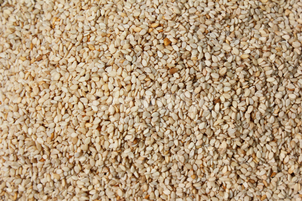 brown,closeup,dry,dummy,food,gold,grain,macro,meal,natural,nature,organic,plant,seed,seeds,sesame,sesameseed,sesameseeds,top,topangle,topview,yellow,깨,참깨,곡식,곡류,음식,음식재료,식재료,식물,씨앗,씨,갈색,브라운,말린,말리는,건조,자연,클로즈업,탑앵글,탑뷰,깨소금,농작물,농촌,농사,음식,식재료,요리,food,cook,meal,dishes,food reserves,곡류,곡식,cereals