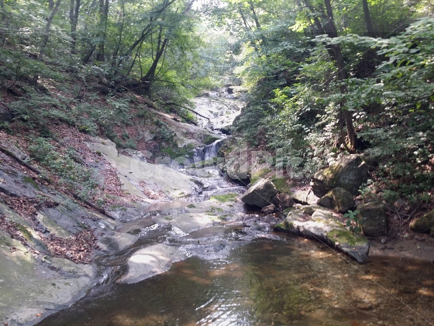 청계산,계곡,신선대,감성사진,경관