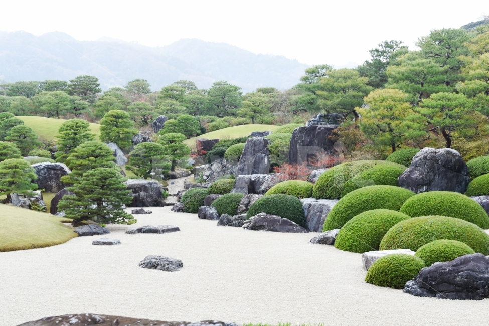 아다치미술관,일본정원,일본여행,돗토리현,돗토리현여행,일본최고정원,자연,풍경,nature,landscape,해외,외국,세계,foreign,oversea,world,outdoors,옥외