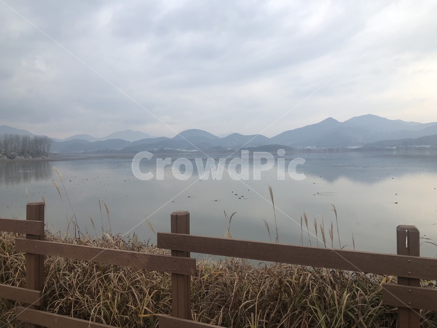 water,물,저수지,강,자연,경관,nature