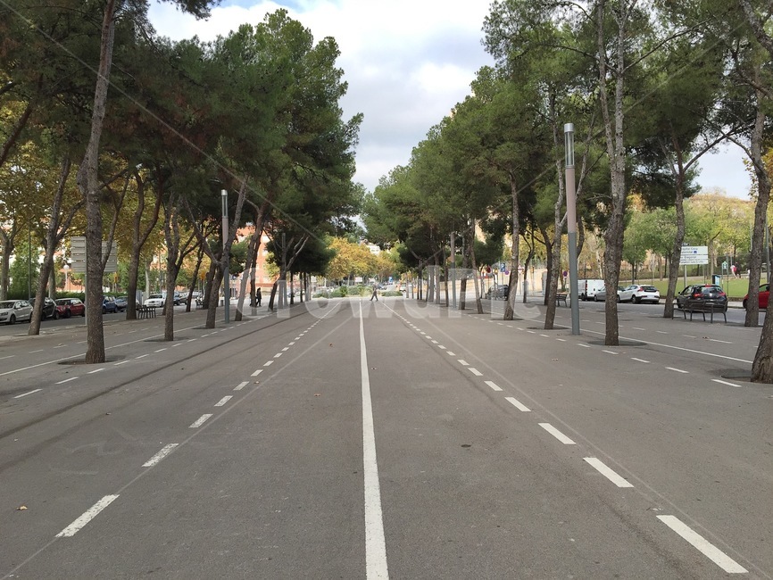 바르셀로나,거리,낮,barcellona,street