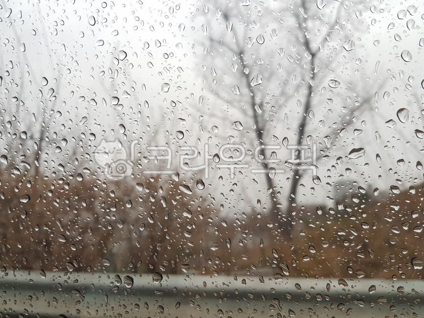 비,창문,창밖,감성,비내리는,분위기,물방울,자연,rain,차안,오후