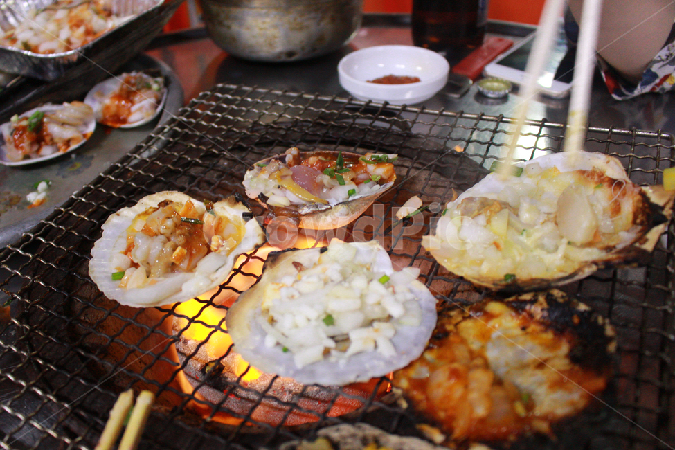 음식,조개구이,불판,부산,연탄불