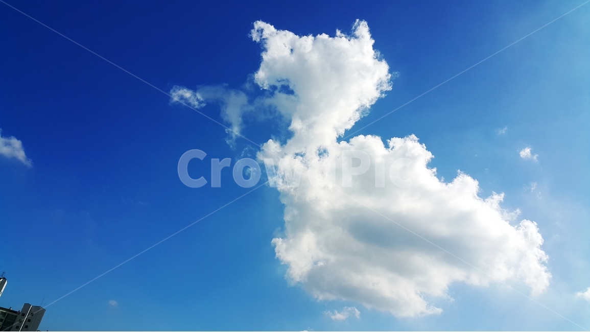 하늘,여름하늘,파란하늘,파랑하늘,흰구름,뭉게구름,자연,풍경,nature,landscape,outdoors,옥외,azure sky,푸른 하늘,sky
