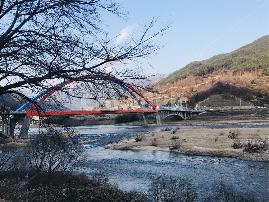 섬진강,다리,강,나무,풍경