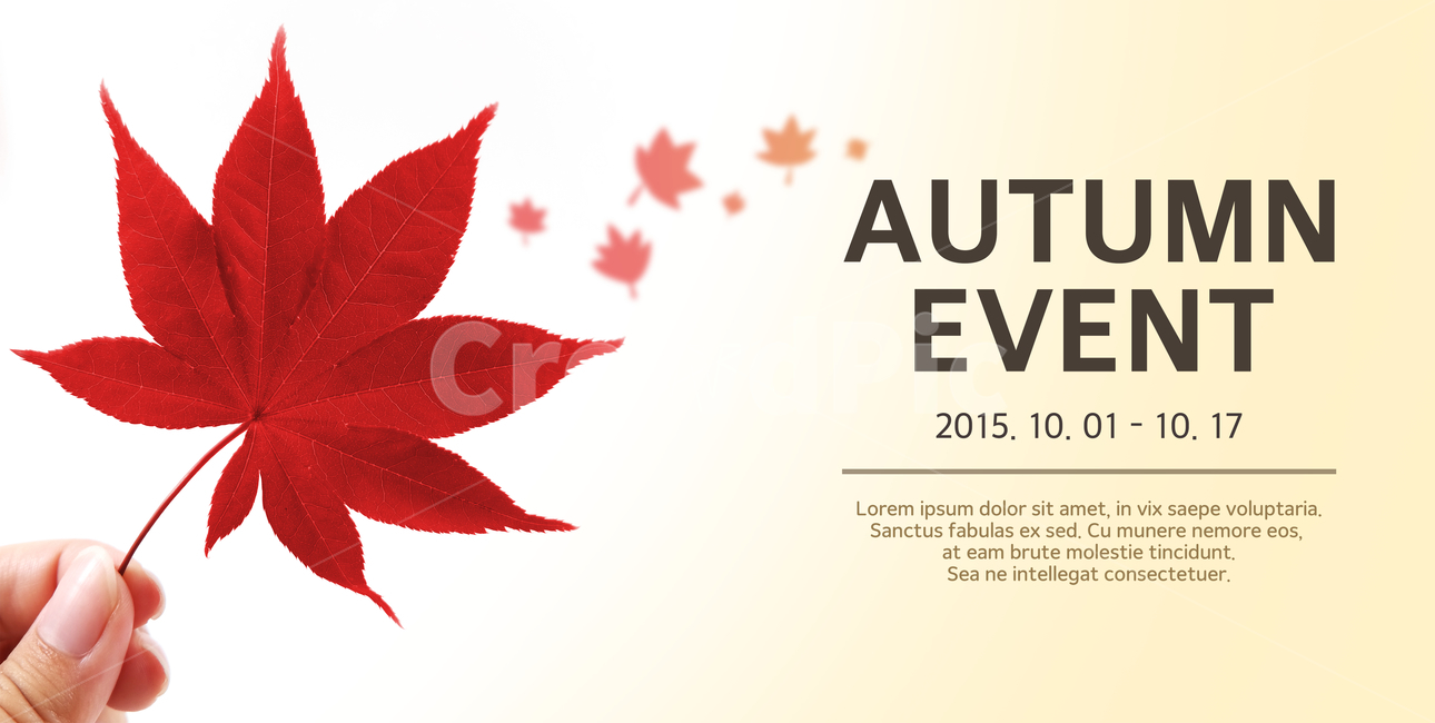 단풍,단풍잎,손,이벤트,가을,팝업,배너,가을,계절,fall,autumn,season,축제,행사,festival,carnival,event,그래픽,일러스트레이션,graphic,illustration,plant,식물,leaf,잎