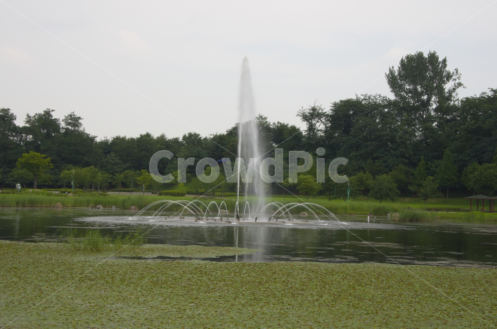 분수,호수,연못,물,여름,scene,view,feeling,emotion,nature,landscape,season,풍경,감정,감성,자연,계절,뷰티,fountain,spring,water,lake,pond,풍경사진,감성사진,정취
