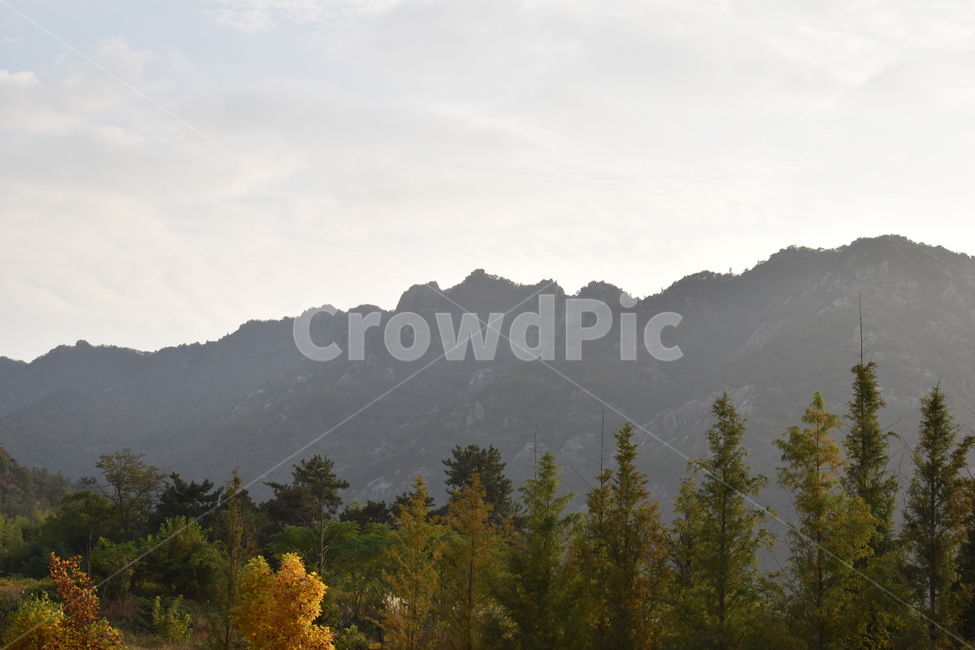 나무,식물,산,하늘,숲,구름,햇빛,자연,풍경,nature,landscape