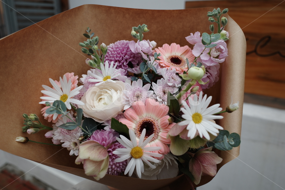 plant,식물,flower,꽃,꽃다발,꽃꽂이