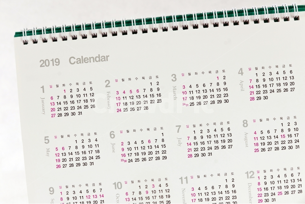 making a plan,sign,office,employee,spring,light green,plan,new year,image,work,moon,background,monthly plan,desk calendar,rectal,Karanda,annual plan,house,life,For desk,background image,1 year,paper,vacation,company,table,calendar,factory,calender,busines