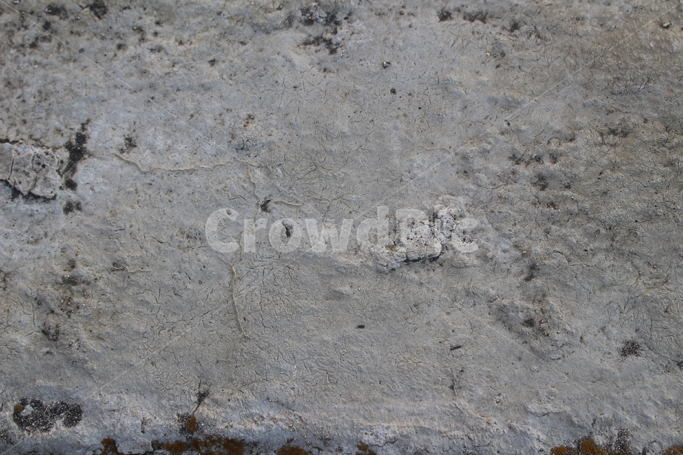 ground,바닥,concrete,콘크리트,회색,질감,재질