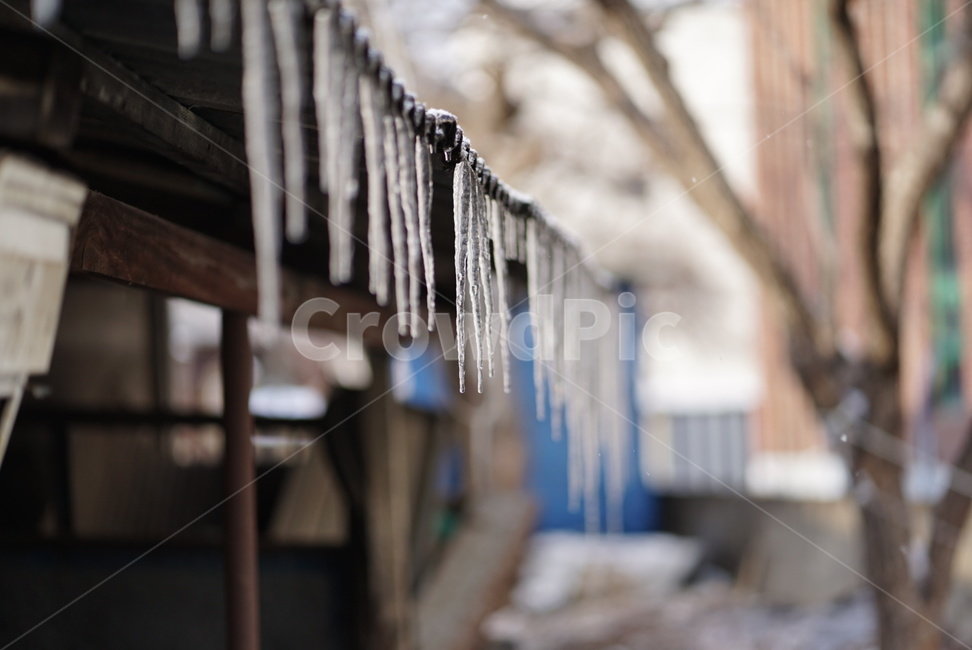winter,자연,겨울,ice,outdoors,고드름,겨울,계절,winter,season