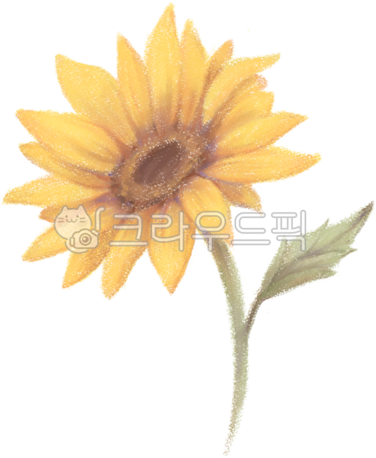 해바라기,해바라기일러스트,해바라기그림,해바라기손그림,꽃,꽃일러스트,꽃그림,자연,꽃한송이,해바라기한송이,정원,해바라기삽화,해바라긱꽃,해바라기장식,노란색꽃,노란꽃,노랑꽃,다이어리꾸미기,다꾸,여름꽃,sunflower,sunflowerillustration,flower,flowerillustration,yellowflower,summerflower,garden