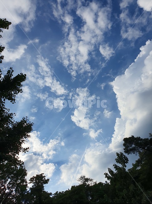 하늘,파란하늘,sky,blue,구름