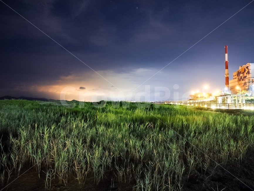 부산,다대포,밤,야경,하늘,굴뚝,풀,물풀,구름,자연,풍경,nature,landscape,야경,밤,nightscape,night,산업,industry,industrial,제조업,manufacturing business,manufacturing industry,land,땅,outdoors,옥외,grass,잔디,plant,식물
