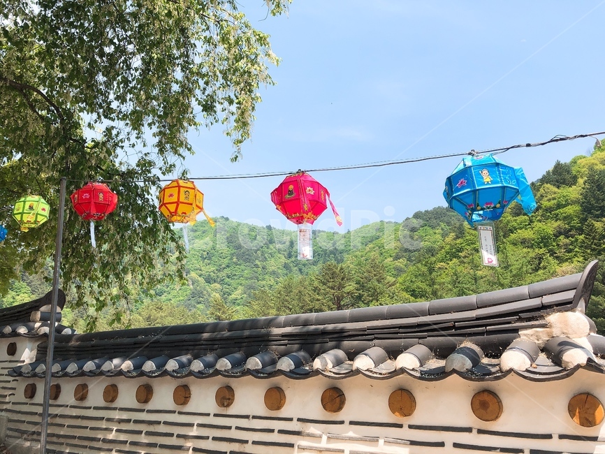 자연,풍경,산,나무,봄,절,절풍경,기와,한국,전통,buddhisttemple
