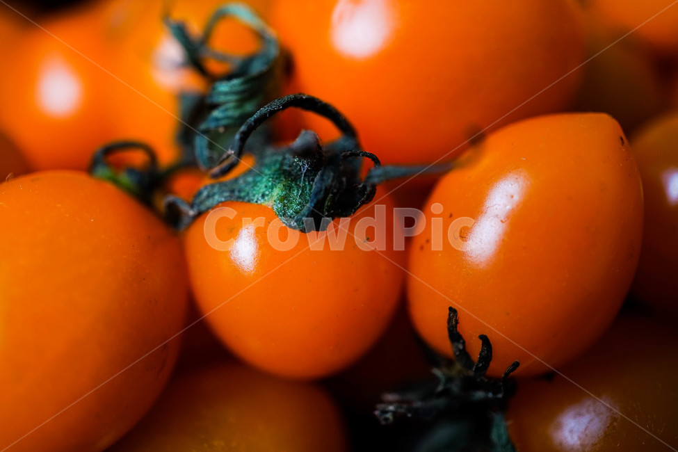 plant,식물,food,음식,토마토,주황색,방울토마토