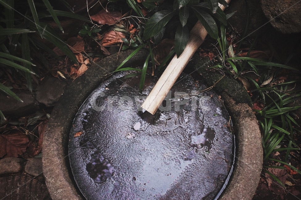 감성사진,식물,우물,색감,겨울,얼음,비,필름,emotion,plant,color,wintet,ice,rain,film,감성,sensible,feeling