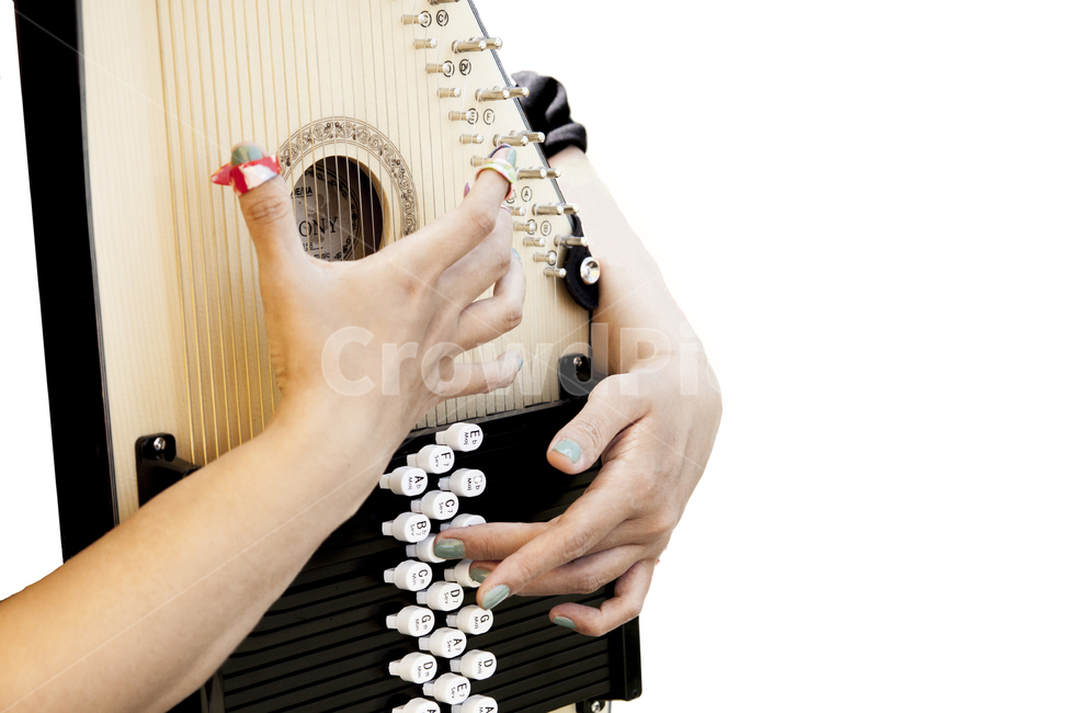 악기,하프,코드,음악,연주,연습,연주자,손,악기,음향기기,musical instrument,musical equipment