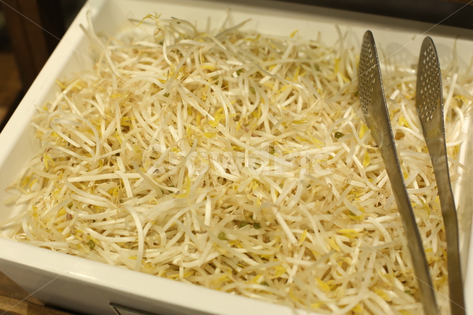 숙주,음식,식재료,푸드,뷔페,음식,식재료,요리,food,cook,meal,dishes,food reserves,채소,야채,vegetables