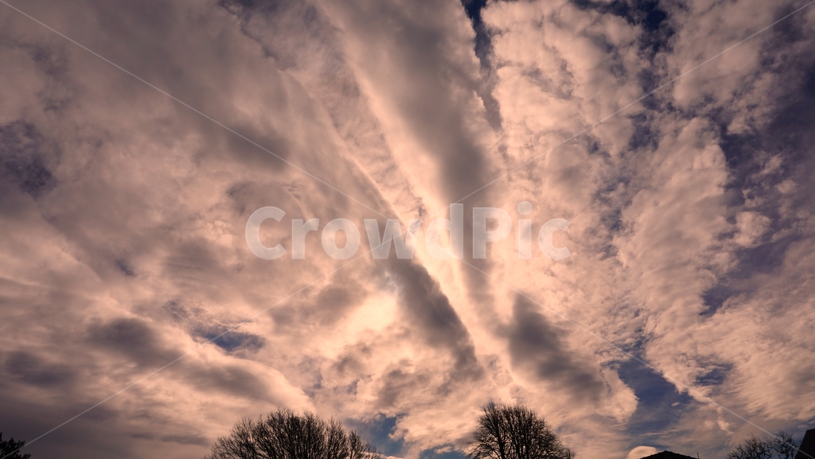 구름,나무,하늘,햇빛,해,cloud,tree,sky,sunrise,sunnyday,sun,sunshine,좋은날씨,goodweather