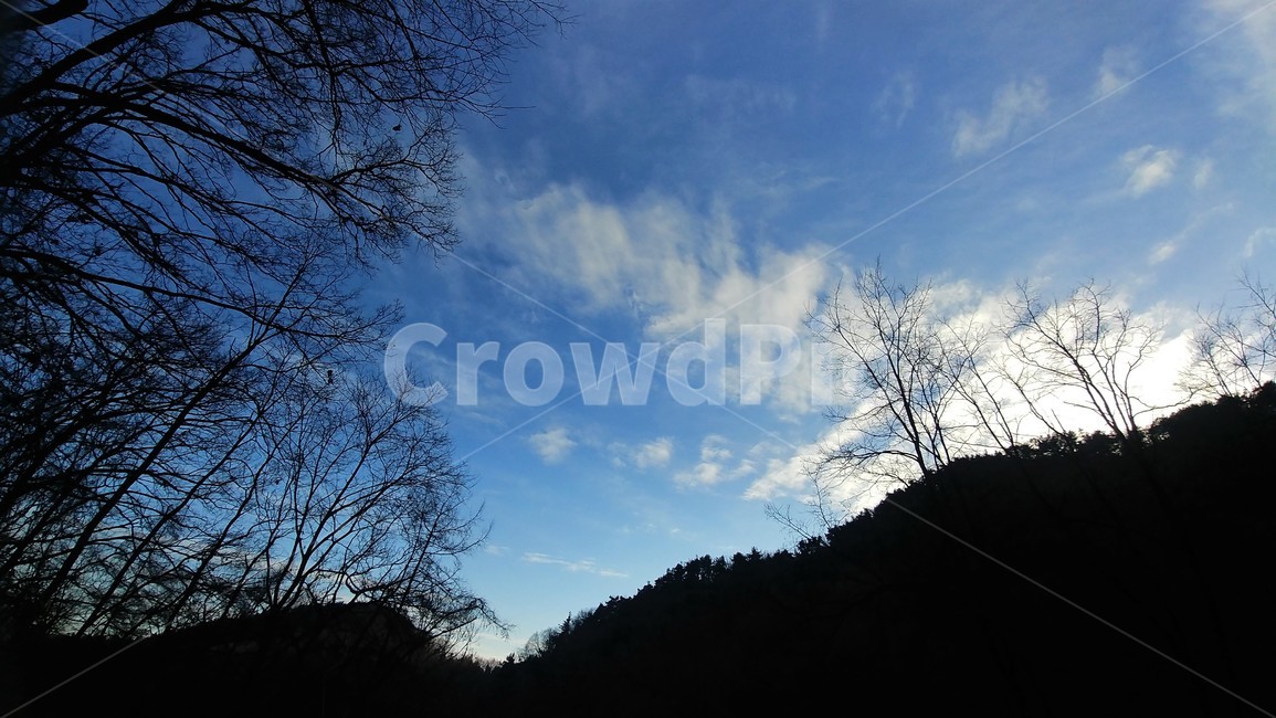 저녁하늘,저녁,저녁숲속,저녁풍경,하늘,구름,한국풍경,자연풍경,nature,자연,outdoors,옥외