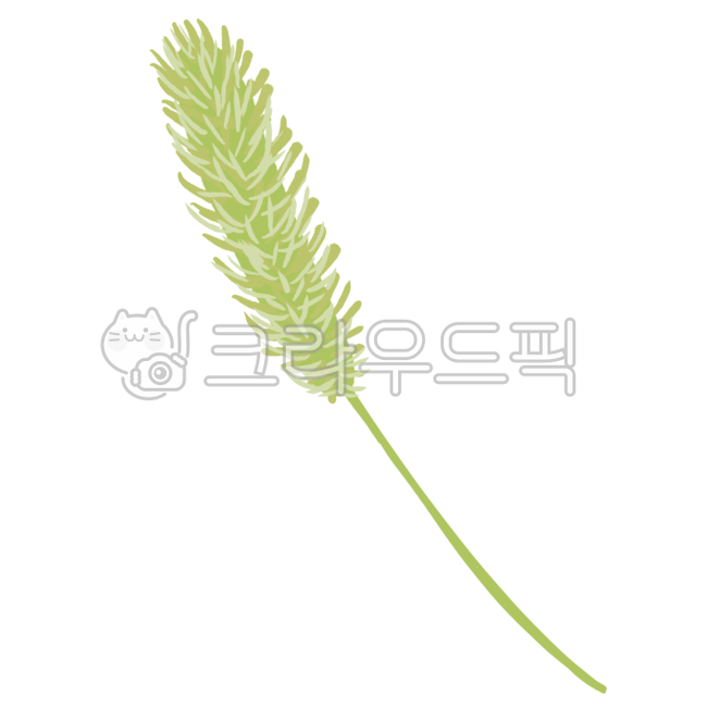 풀,강아지풀,강아지풀그림,자연,식물