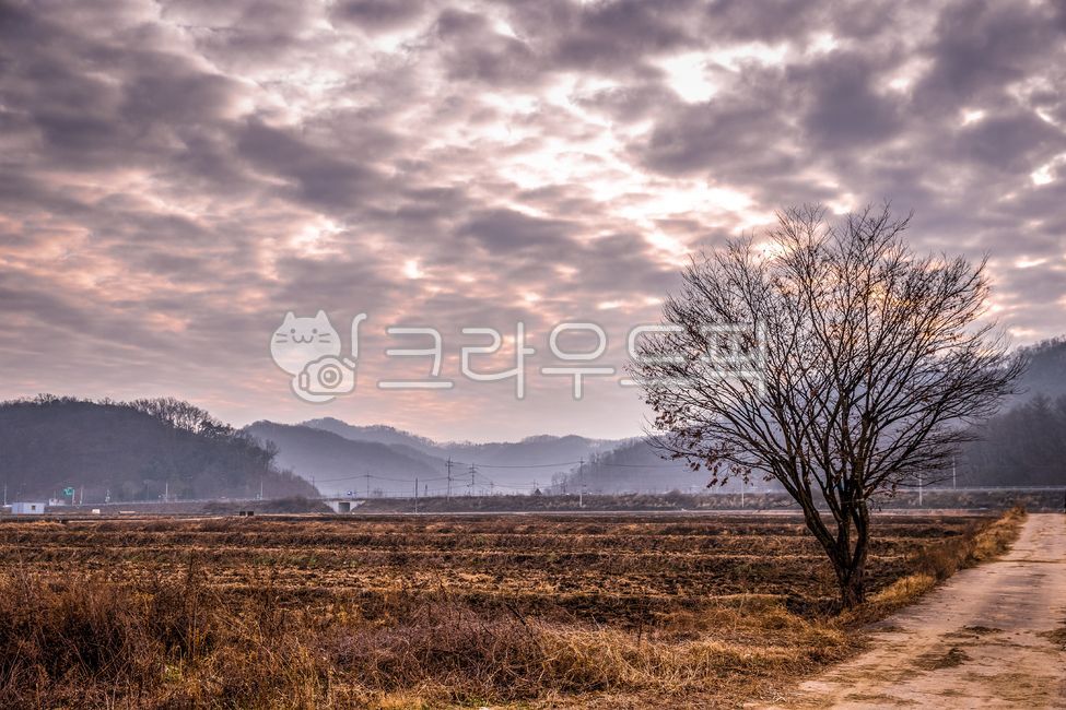sky,Rural,nature,One tree,countryside,tree,cloud,field,outdoors,road,farming,sunset,sight,late fall,autumn,country road,nightfall,rural landscape