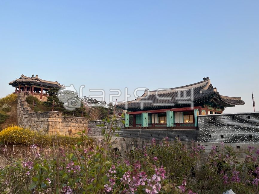 sky,Suwon Hwahongmun Gate,castle,Hwahongmun Gate,world cultural heritage,Historic sites,Suwon Hwaseong Fortress,building,flower,rampart,traditional building,Hanok,tile roof,pavilion,Northeast Tower