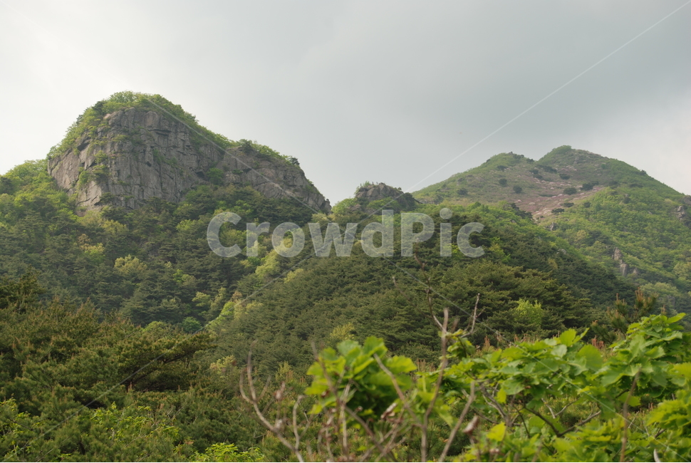 봄,산,꽃,자연,하늘,자연,풍경,nature,landscape,outdoors,옥외,hill,언덕