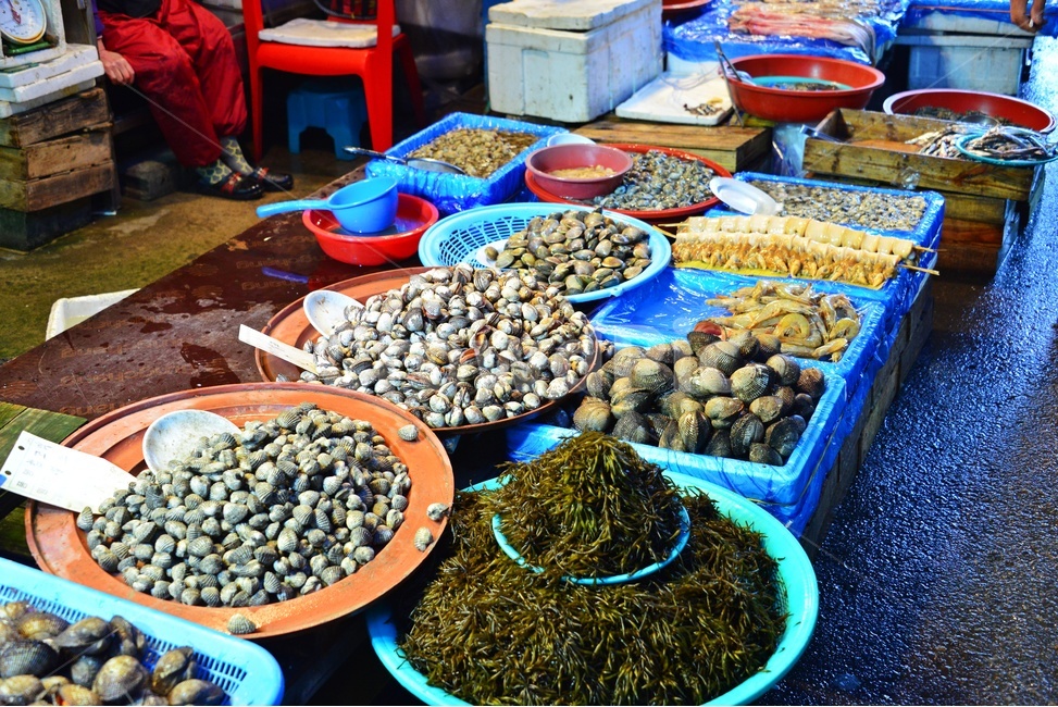 lobster,market,시장,sealife,해양생물,seafood,해물,food,animal,동물,헤산물,수산물,식재료,음식,수산시장,꼬막,톳,해조류,시장,마트,마켓,market,mart,market place