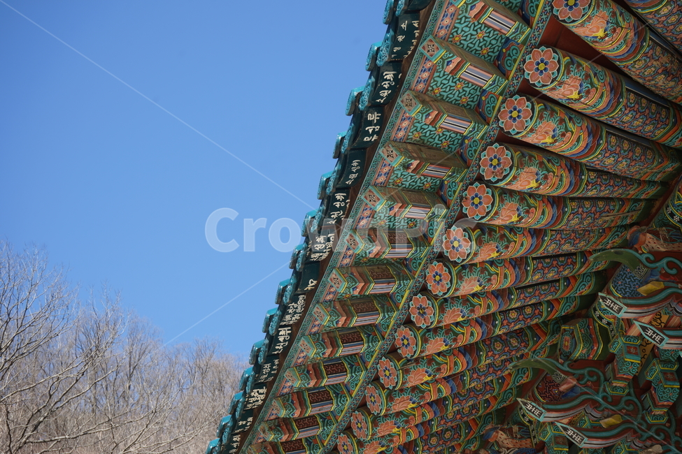 temple,신전,architecture,건축물,building,건물,worship,예배,shrine,신사,한국전통,한국문화,korean traditional,korean culture,건축물,건물외관,exterior,building,structure,architecture,construction