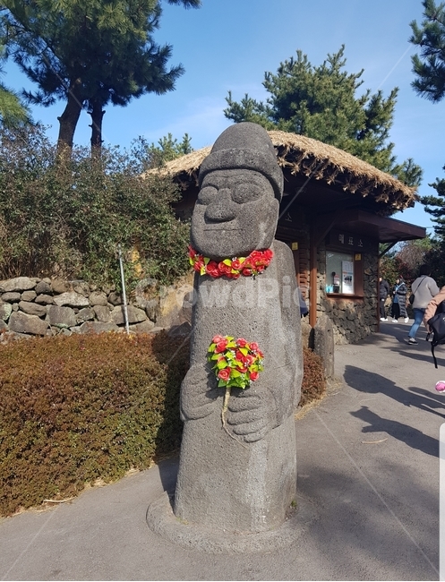 돌하르방,꽃,제주도,제주,제주도돌하르방,제주도,jeju,jeju island,한국전통,한국문화,korean traditional,korean culture,조각상,동상,석상,조형물,statue,bronze statue,stone statue,person,사람,human,인간,outdoors,옥외